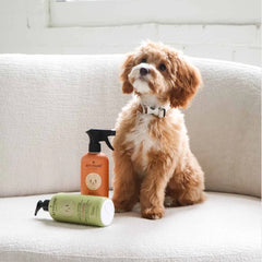 Pet Shampoo - Anti-itching & Deodorizing Lavender-16 FL. OZ.