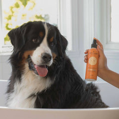Pet Detangler - Anti-itching Lavender-8 FL. OZ.