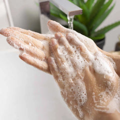 Foaming Hand Soap Coconut & Wild Berries-10 FL. OZ.